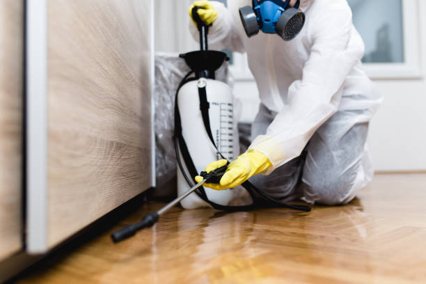 Best Bed Bug Extermination  in Mvern, AL