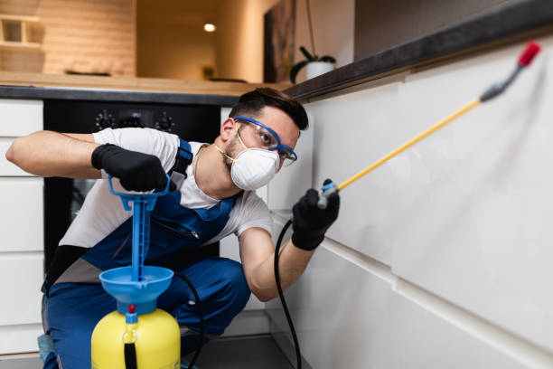 Best Termite Control Services  in Mvern, AL