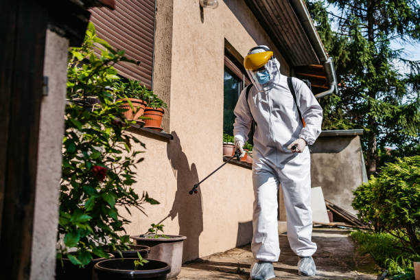 Best Rat Extermination Near Me  in Mvern, AL