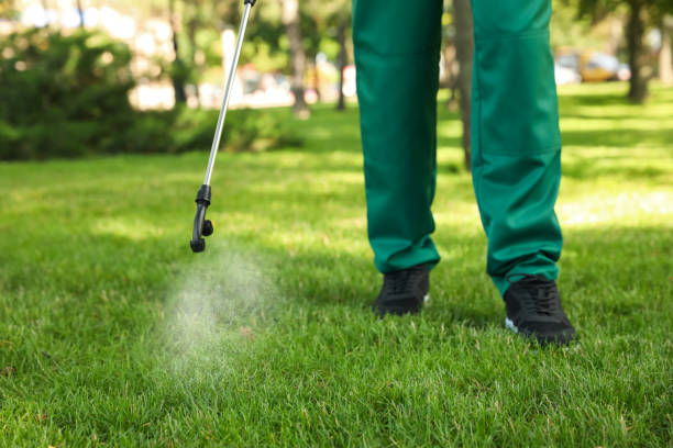 Best Bed Bug Extermination  in Mvern, AL