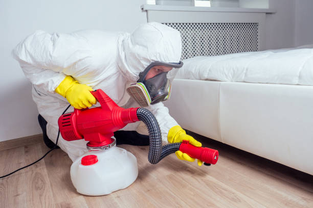 Best Flea Control Services  in Mvern, AL