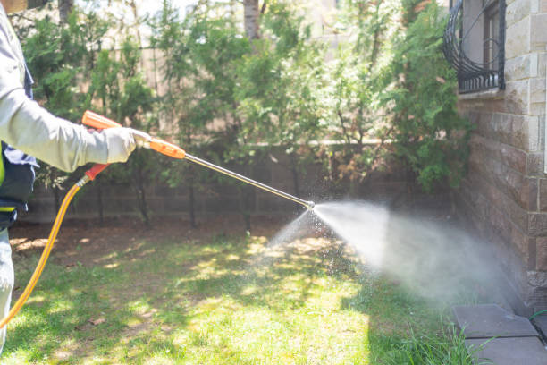 Bird Control in Malvern, AL