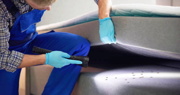 Best Pest Removal Services  in Mvern, AL