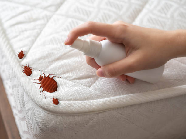 Best Residential Pest Control  in Mvern, AL
