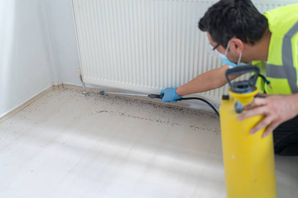 Best Pest Control for Businesses  in Mvern, AL