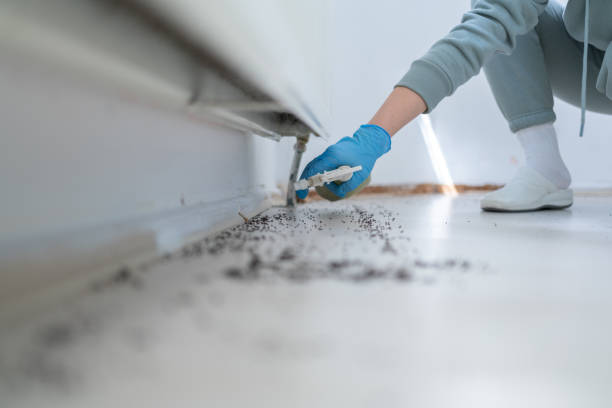 Best Residential Pest Control  in Mvern, AL