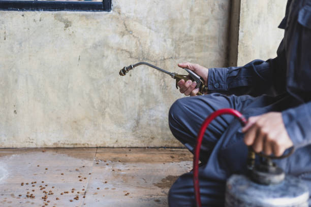 Best Affordable Pest Control Services  in Mvern, AL